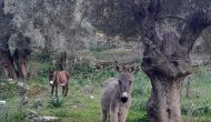 Η φωτογραφία της ημέρας